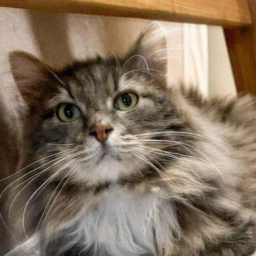 No photo for 🧸Teddy🧸