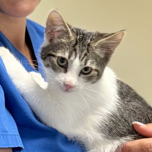 No photo for Sebastian