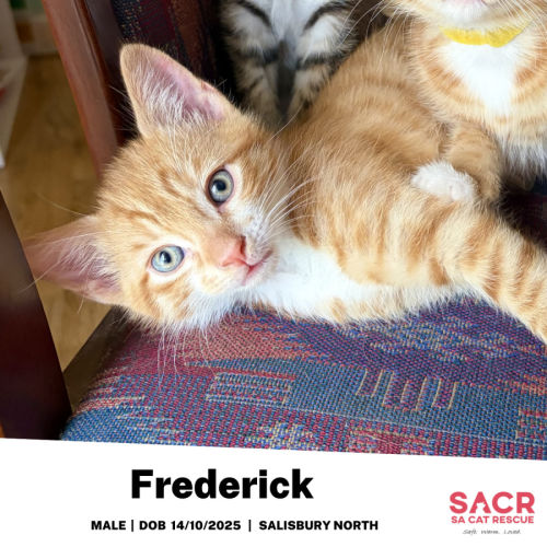 Frederick