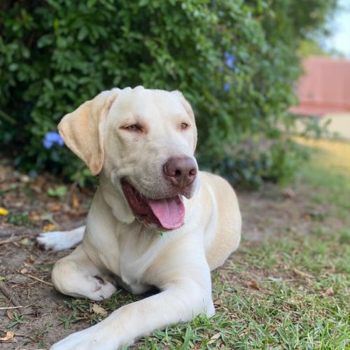 No photo for Charlie