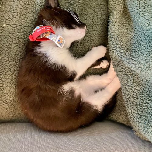 No photo for Maggie ‘Magpie’