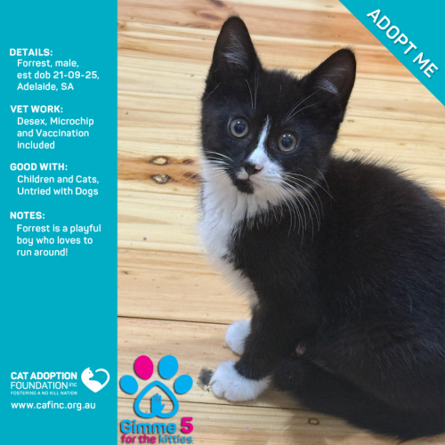 No photo for Forrest