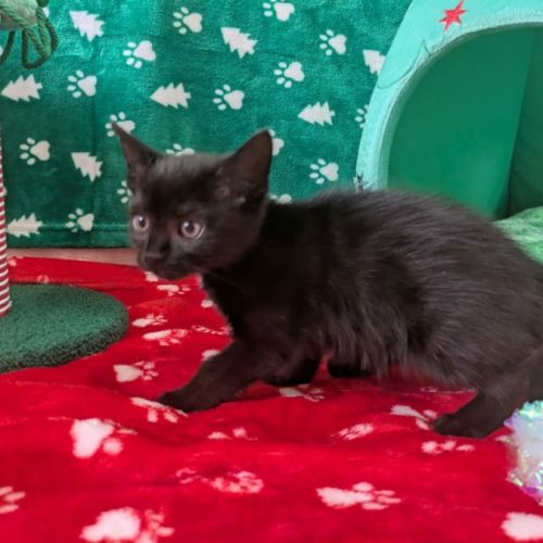 No photo for Rudy And Klaus