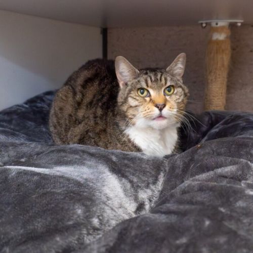 No photo for Emerald