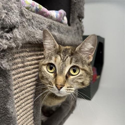 No photo for Genevieve