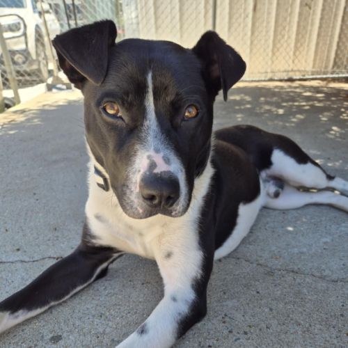 No photo for Kenny! 🤍🖤