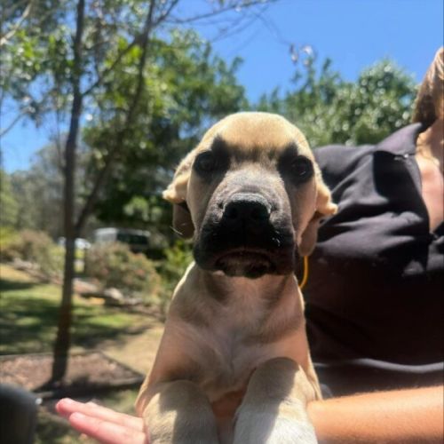 No photo for Charlie