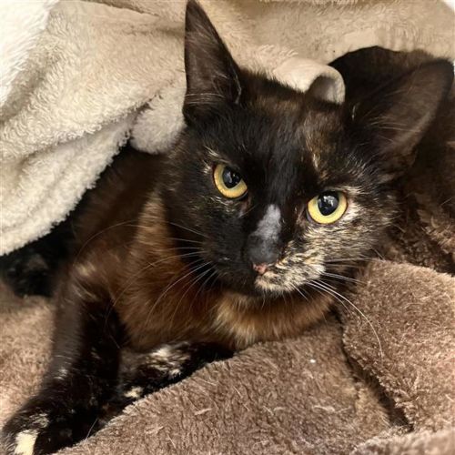 No photo for Meredeth