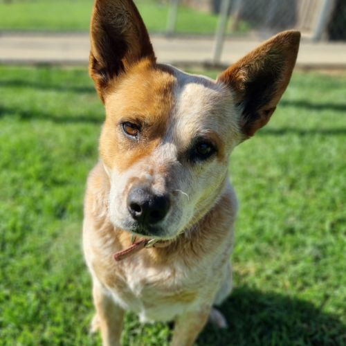 No photo for Peaches