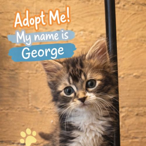 💗 George 💗