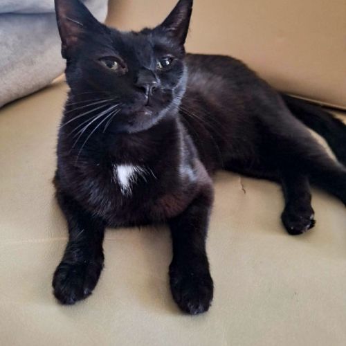 No photo for Melanie