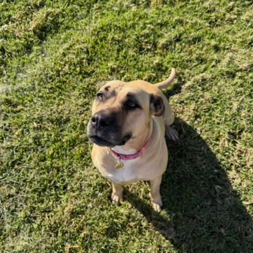 No photo for Noradara