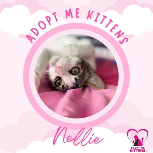 Nellie