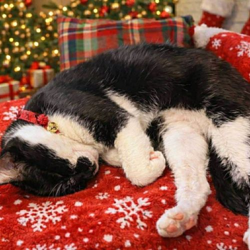 No photo for Dirty Jack