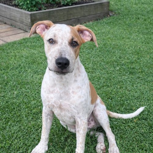 No photo for Charlie (P11)