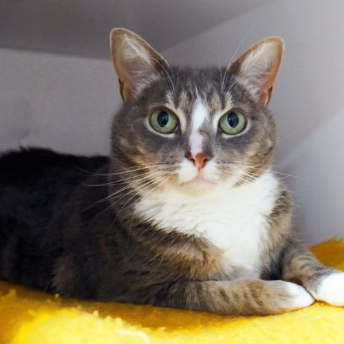 No photo for Lulu Rsuk005429