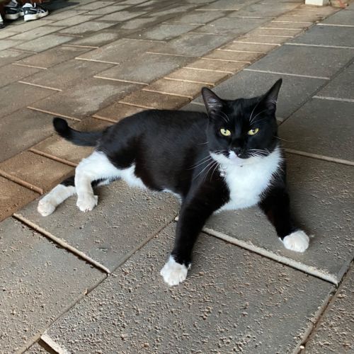 No photo for Tilly & Benji