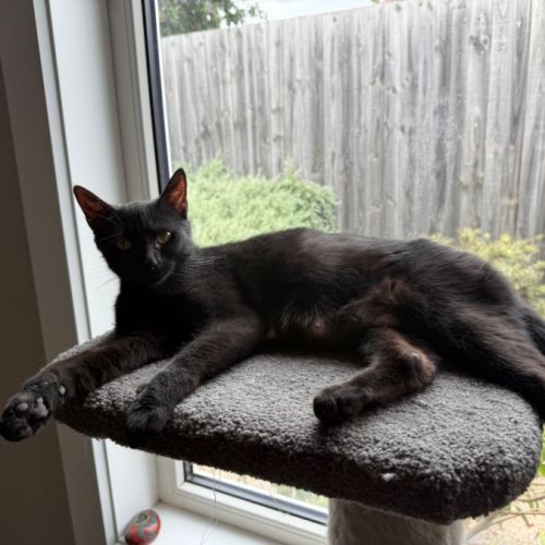 No photo for Morticia