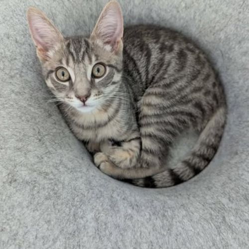 No photo for Meridith Grey