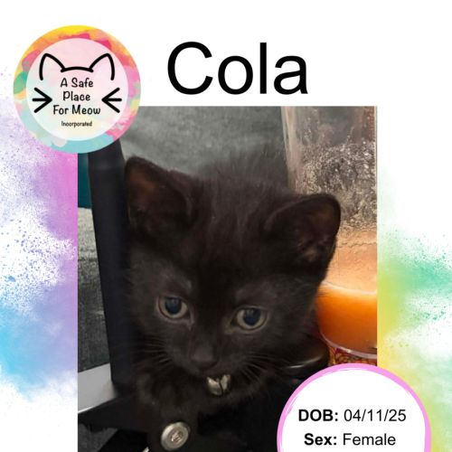 Cola