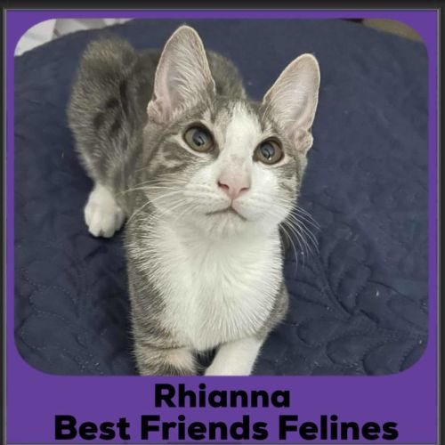 No photo for Rhianna 