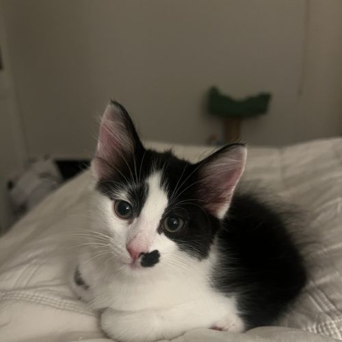 No photo for Matthew