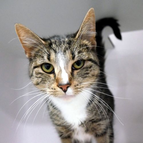 No photo for Nadia Sta015205