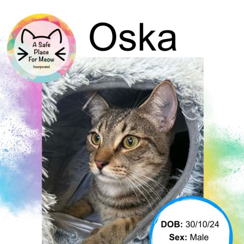 No photo for Oska