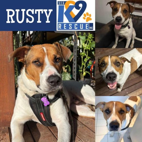 No photo for Rusty