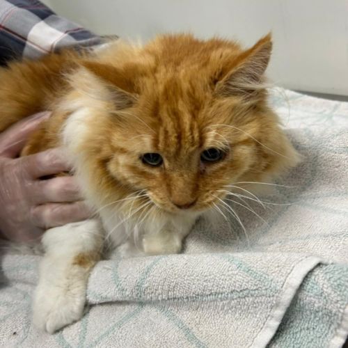 No photo for Boo Boo And Melody