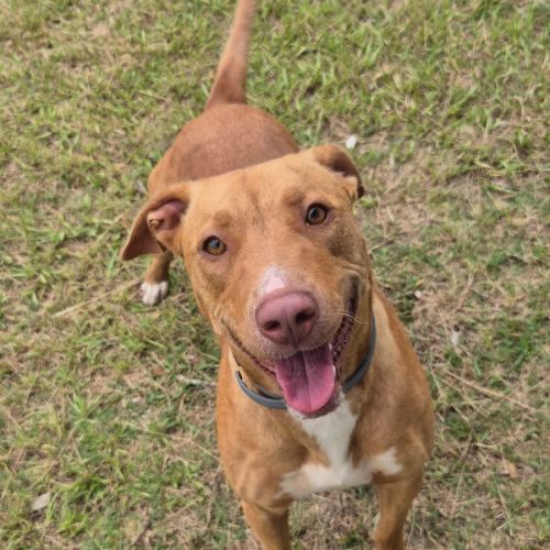 No photo for Quinn (8970)