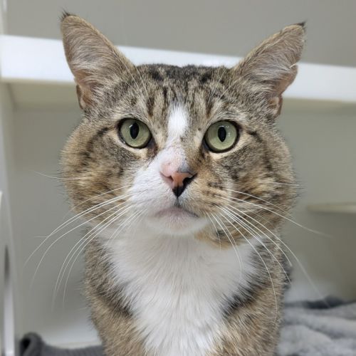 No photo for 😽 Jerome 6752 😽