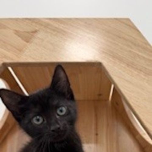 No photo for Joaquin 