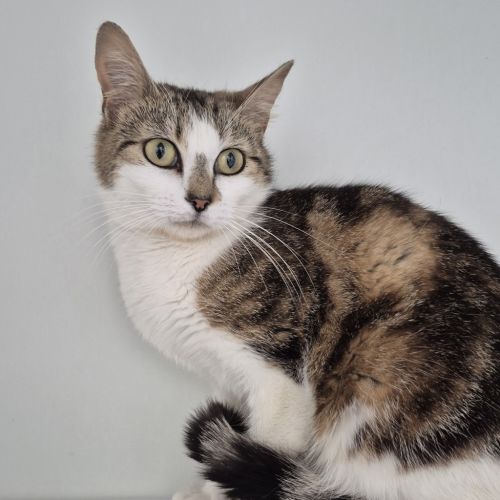 No photo for Meredith