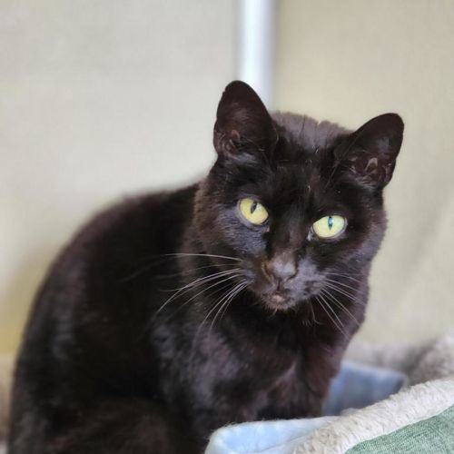 No photo for 🌮 Frankie 6184 🌮