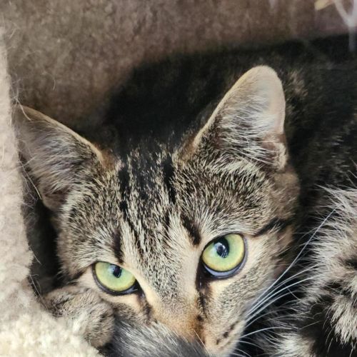 No photo for 🚲 Betty Lou 6711 🚲