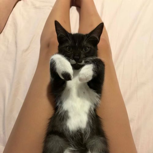 No photo for Bobby & Daisy 