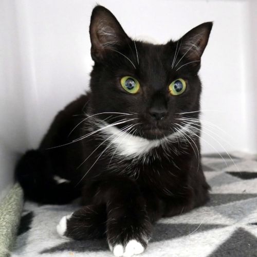 No photo for Mabel Sta015048