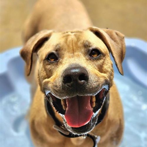 No photo for 🍭 Penelope 6667 🍭