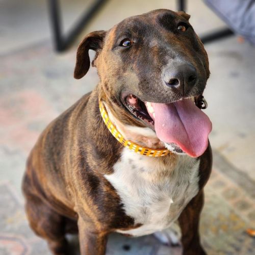 No photo for 🦆 Ducky 6839 🦆