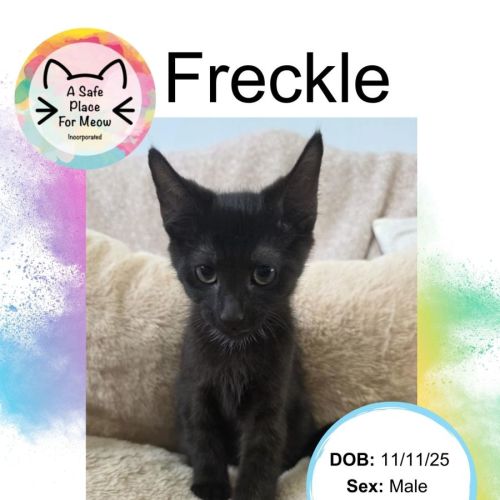 No photo for Freckle