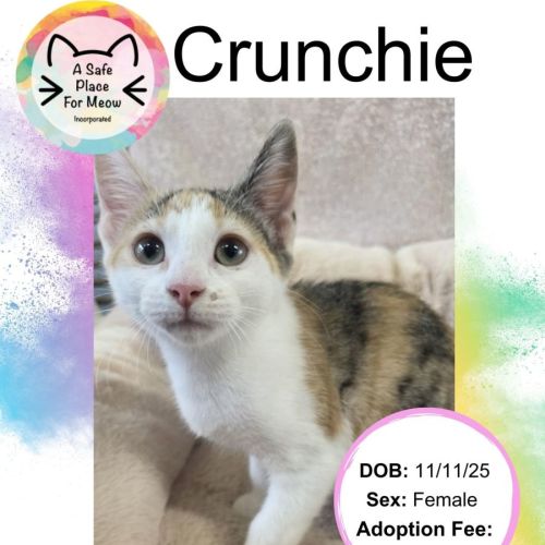 No photo for Crunchie