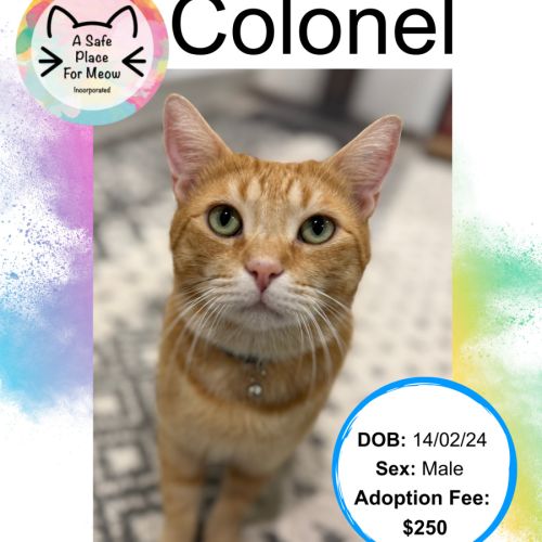 No photo for Colonel