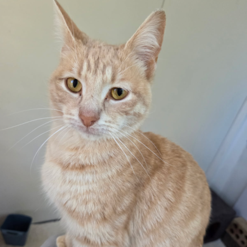 No photo for Charlie