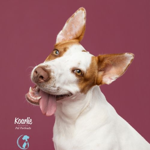 No photo for Adeline