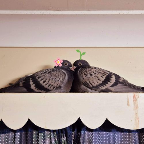 No photo for Camembert & Parmesan