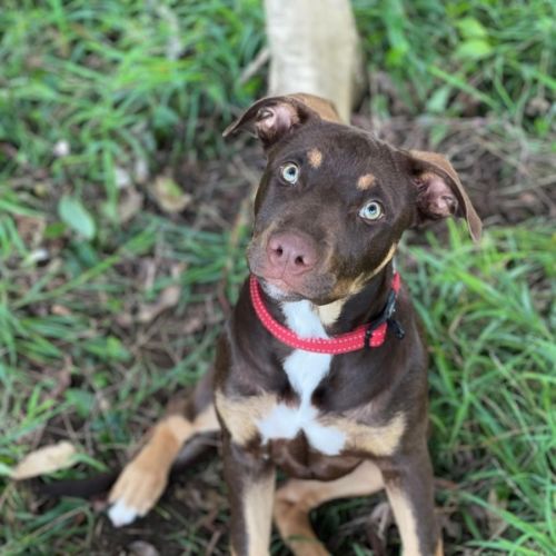 No photo for Sheeran