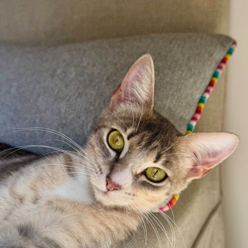 No photo for Kimberley