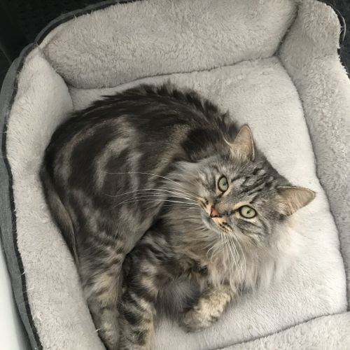 No photo for Emerson