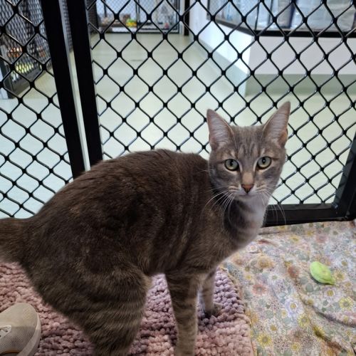 No photo for Chelsea